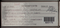 Image Associated With the Occurence